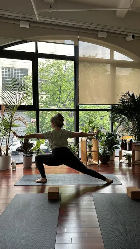 Yoga Space LIC