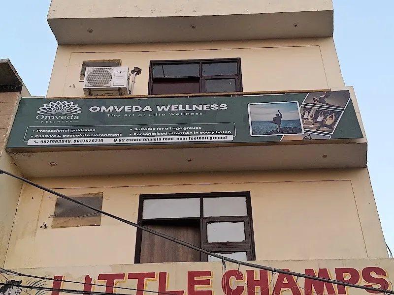 Omvedawellness