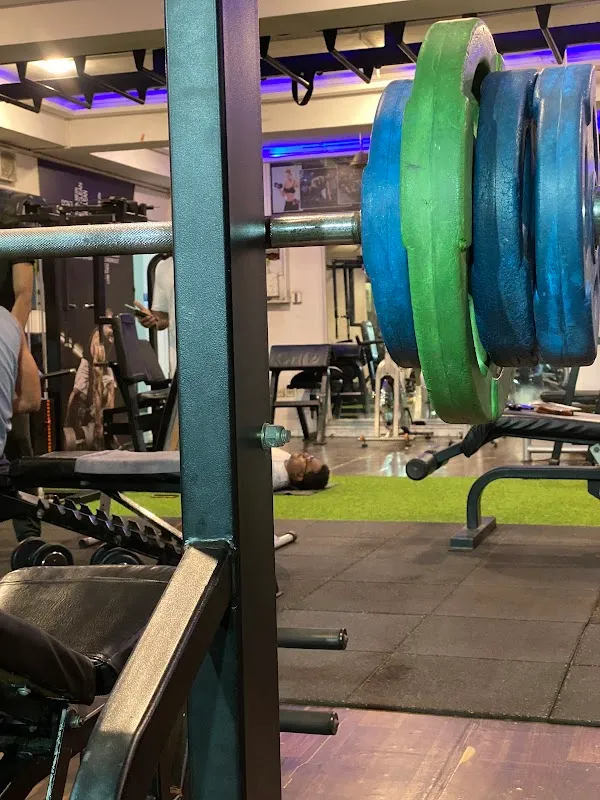 Perfect Health & Fitness