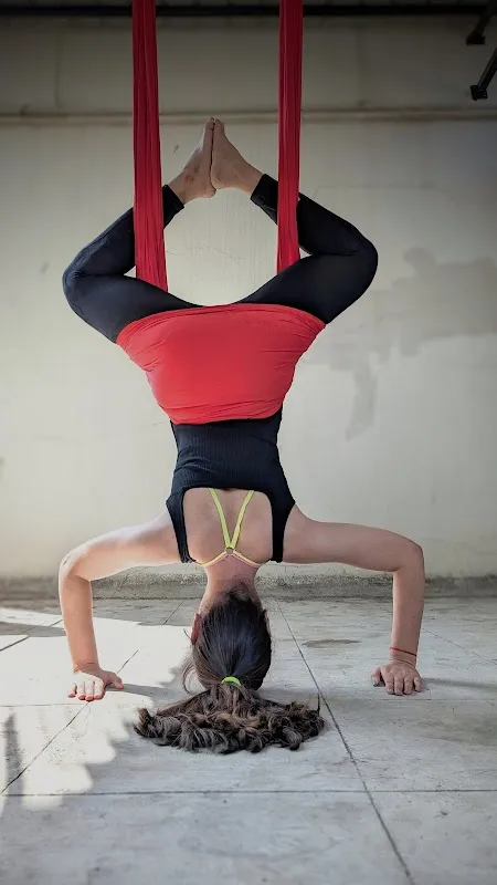Shree Ashtayog ( Yoga & Fitness Class by @modern_yogi_gymnast - Amruta Sinkar )