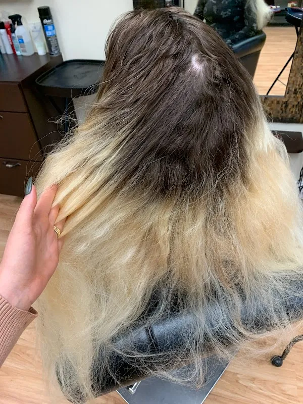 Beyond Hair Studio