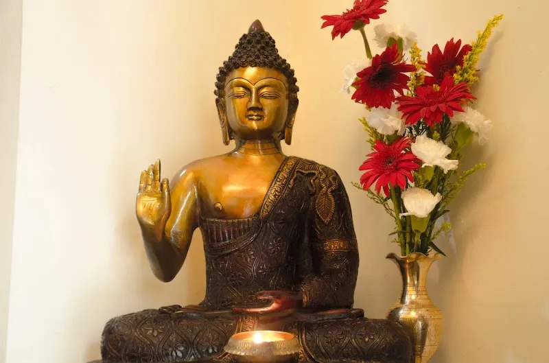 Yoga Wellness Center