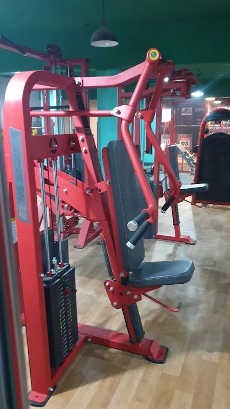 Team Shredded Fitness Club