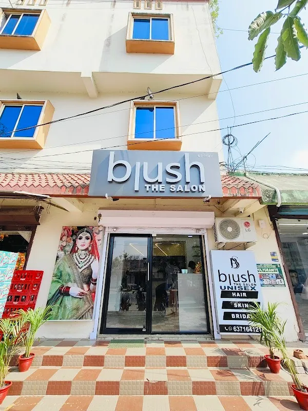 Blush The Salon