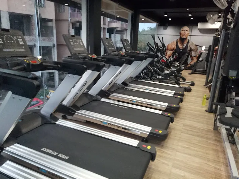 Knockout Fitness
