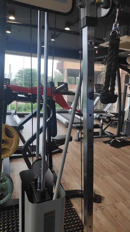 Knockout Fitness