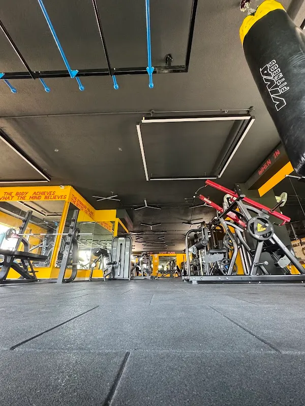 The Fit Lab Gym