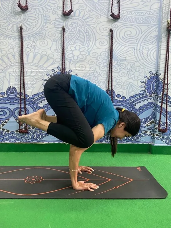 DIVINE INSTITUTE OF YOGA & PILATES