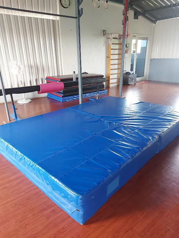 The Movement Studio