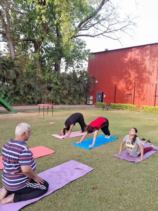Yoga Training Centre