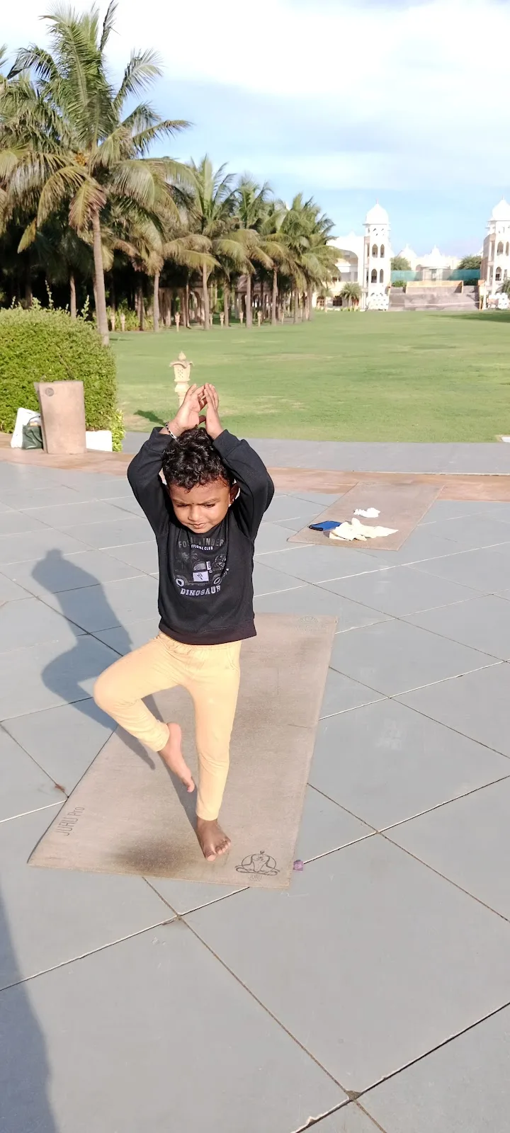 Star Podhigai Yoga