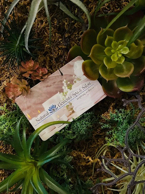 Natural Elements Spa & Salon