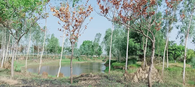Lucknow film studio
