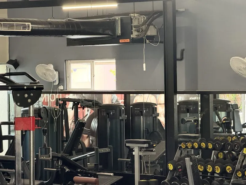 Total Tone Fitness