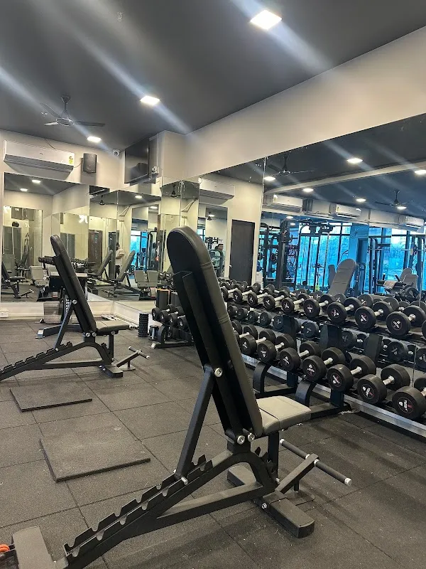 THE MUSCLE CULTURE