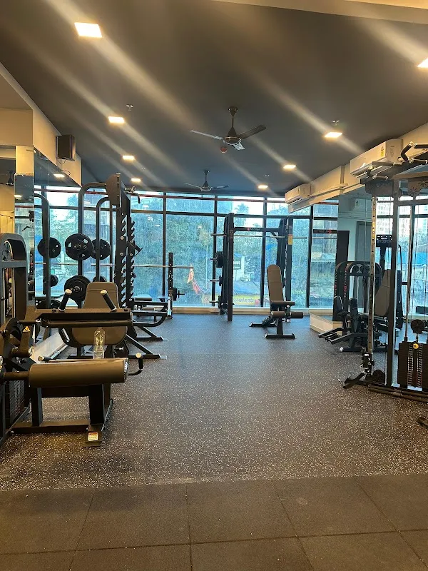 THE MUSCLE CULTURE