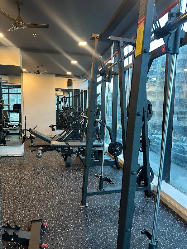 THE MUSCLE CULTURE