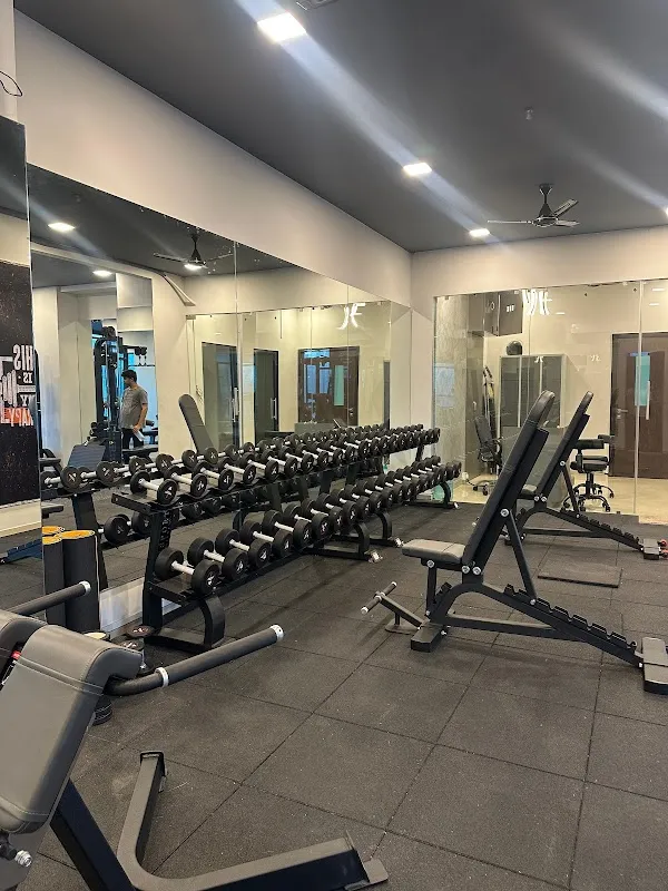 THE MUSCLE CULTURE