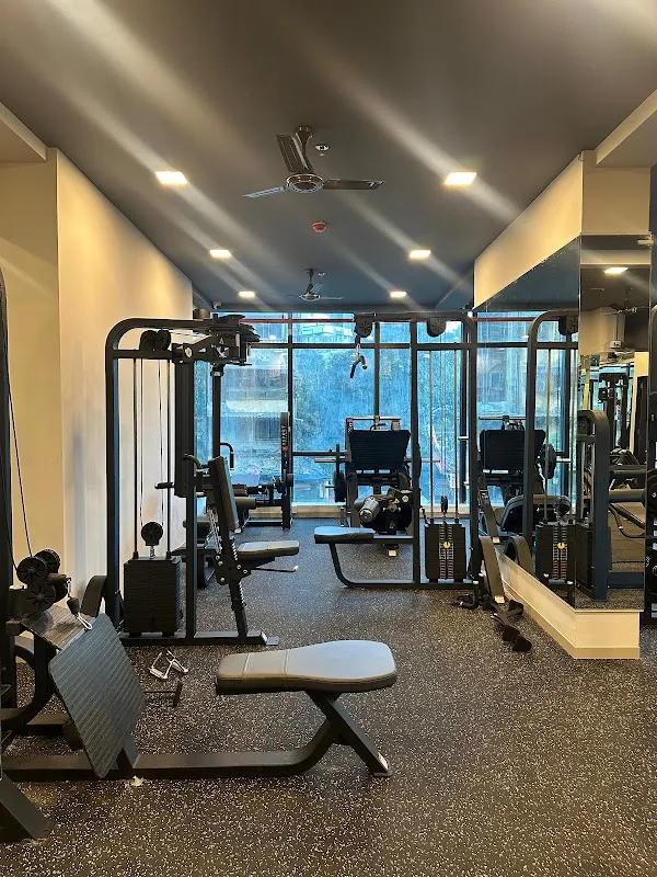 THE MUSCLE CULTURE