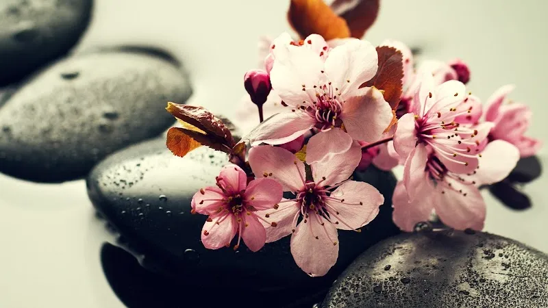 Neung Thai Spa In Worli