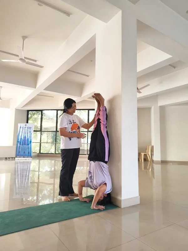 DIVINE FLOW YOGA CENTER