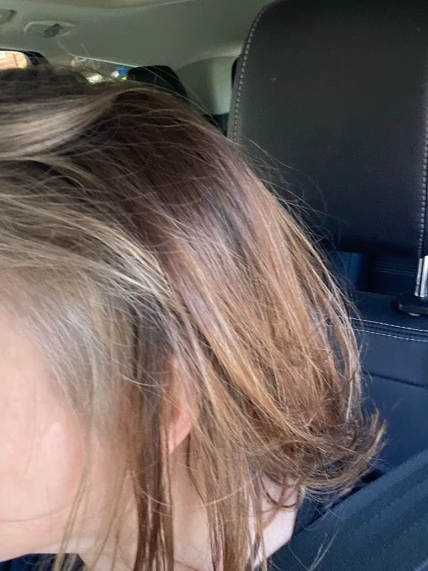 Salon Fleur de Lis