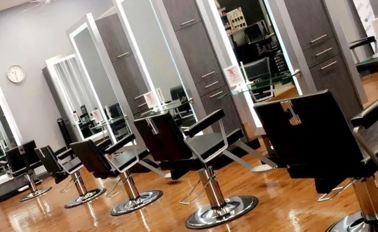 Salon Fleur de Lis