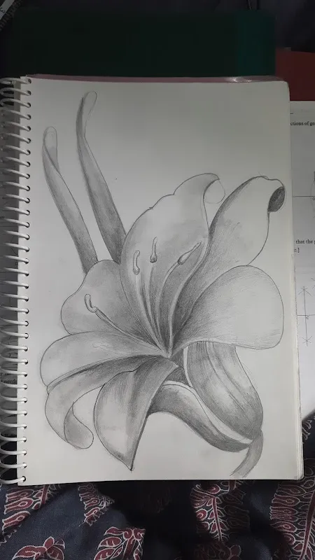 Shital Art Studio
