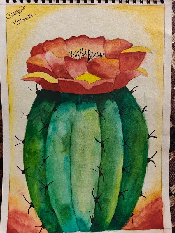 Shital Art Studio