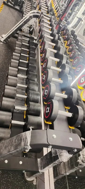 Mustangs Fitness Centre | Vashi
