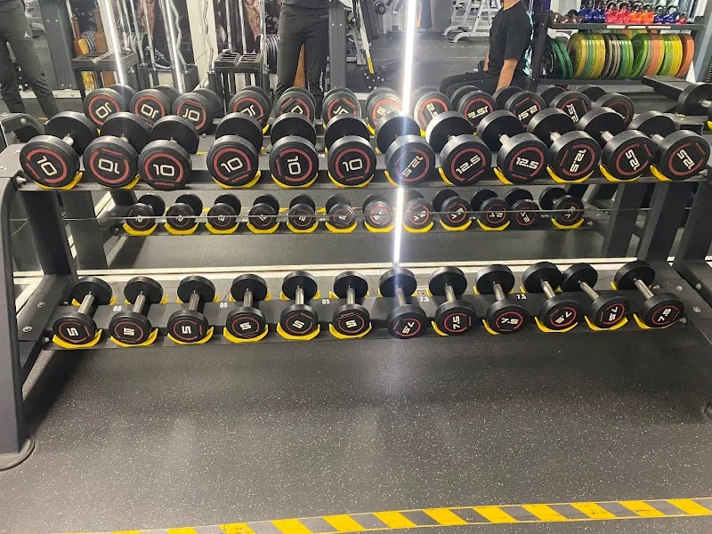 Mustangs Fitness Centre | Vashi