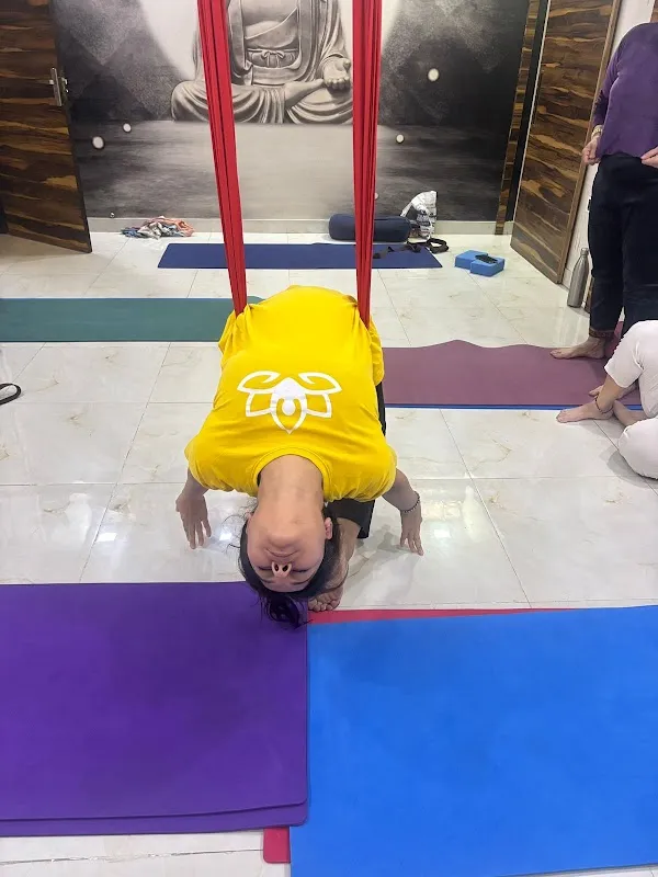 Yog Vibes
