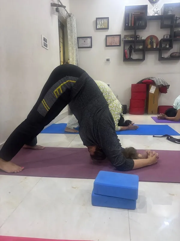 Yog Vibes
