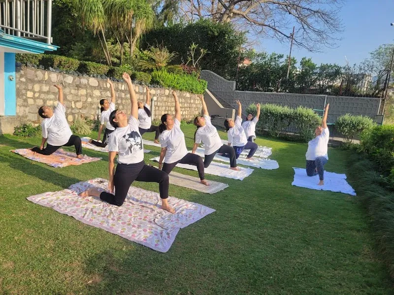 Yog Vibes
