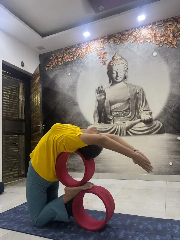 Yog Vibes