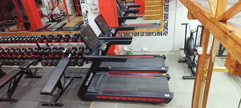 MY GYM