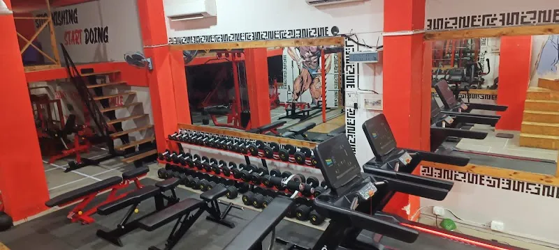 MY GYM