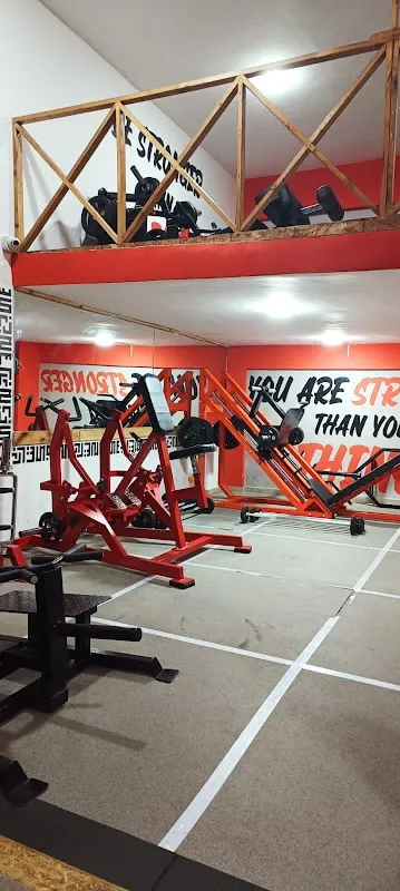 MY GYM