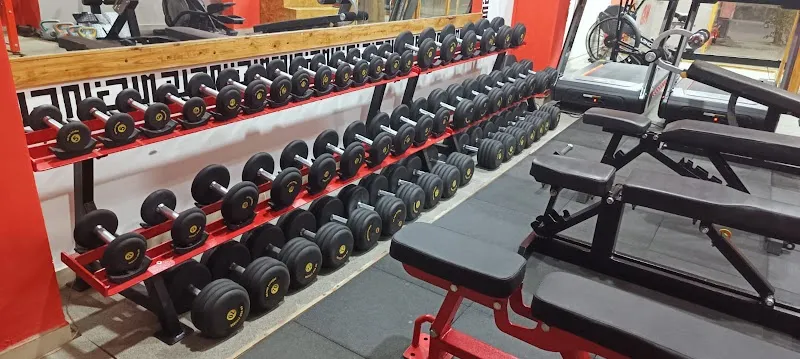 MY GYM