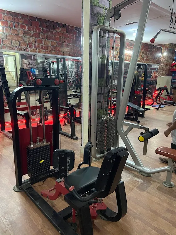 Family Beast Factory Gym