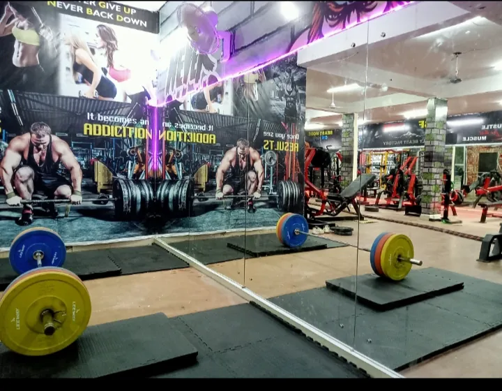 Family Beast Factory Gym