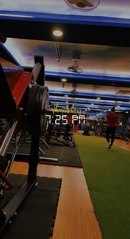 STEP IN GET FIT (Body transformation studio)