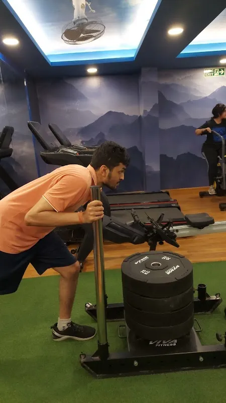 STEP IN GET FIT (Body transformation studio)