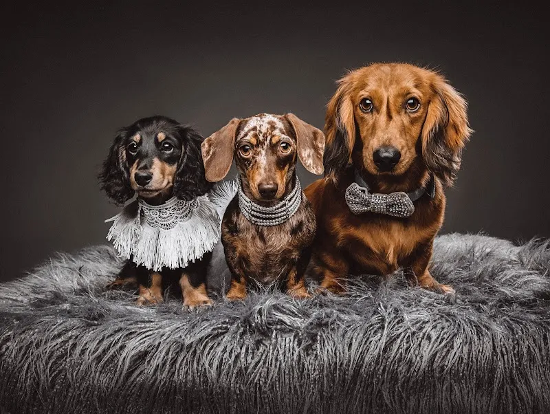 Studio1000 Photography Australia