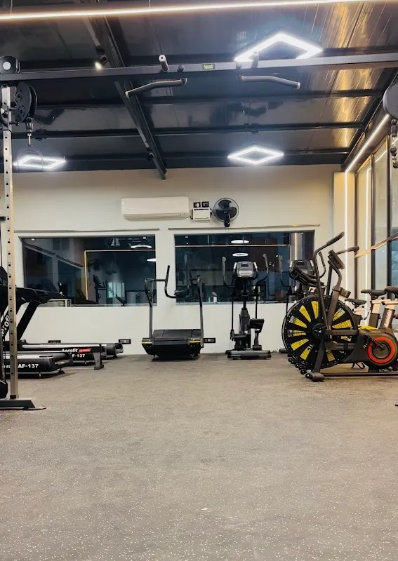 Wild Fitness Studio