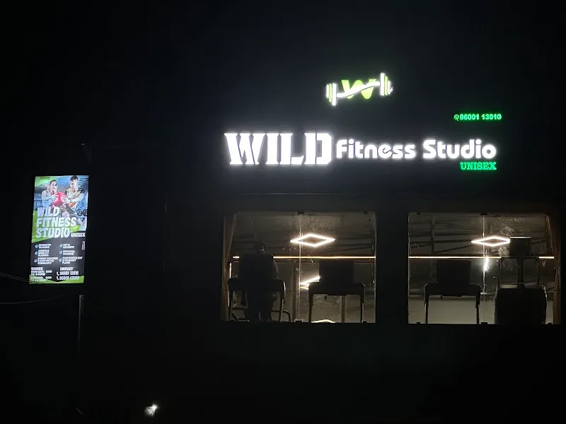 Wild Fitness Studio