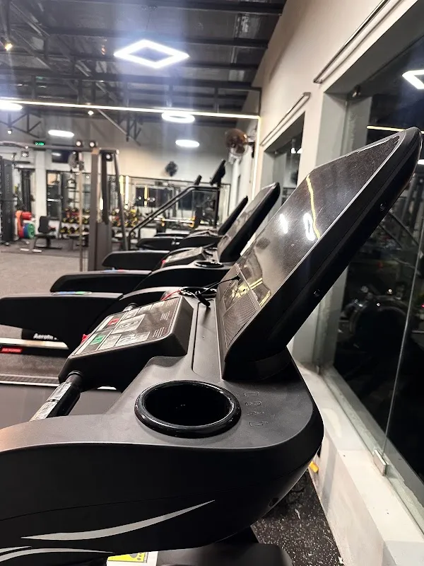 Wild Fitness Studio