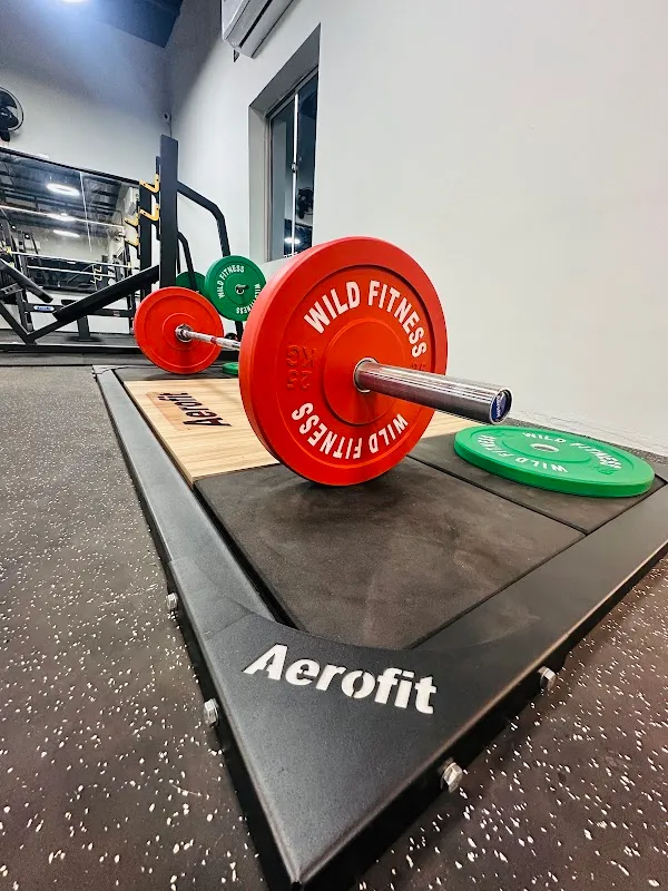 Wild Fitness Studio