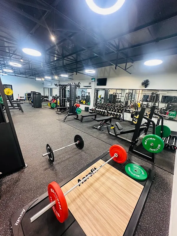 Wild Fitness Studio