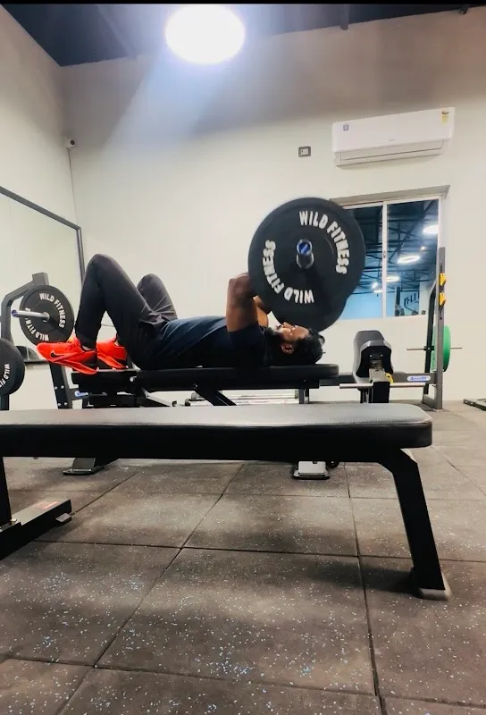 Wild Fitness Studio